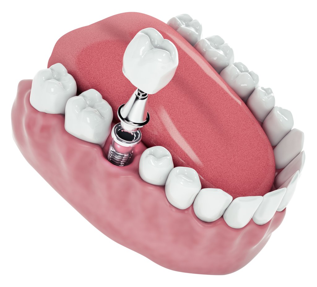 odontología