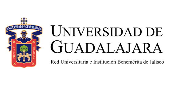 Implantes dentales mediante sistemas guiados.